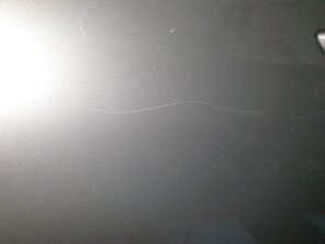 Kratzerentfernung erwünscht - der muss weg