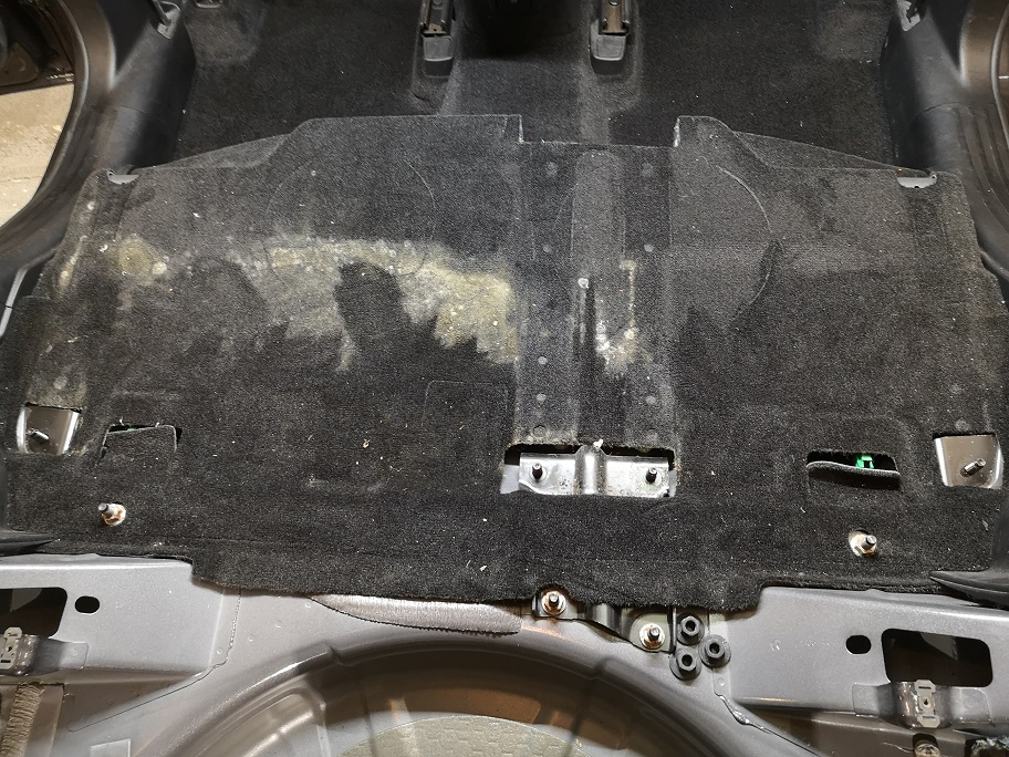 Haben auch Sie Schimmel im Auto? Kein Problem! Ihr Profi in Kirchlengern bietet Schimmelreinigung an